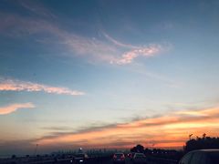 -合肥滨湖国家森林公园