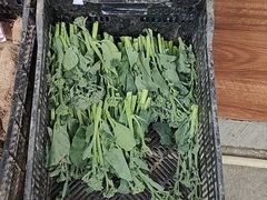 -新地休闲农场