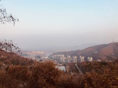 -烟台市博物馆