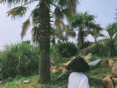 -嵊泗基湖沙滩