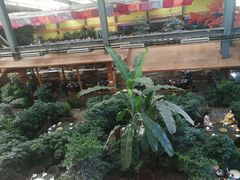 -君临七星生态酒店