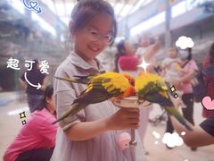 -泉城欧乐堡海洋极地世界