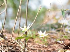 -敬亭山风景名胜区