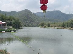 -将军陂美食山庄·瓦缸炭烧鸡