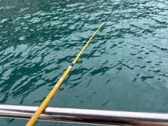 -小猫钓鱼海钓俱乐部(椰梦长廊店)