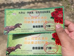 -盛世牡丹苑生态文化旅游区