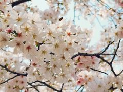 -白塘生态植物园
