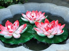 -芭东小镇温泉