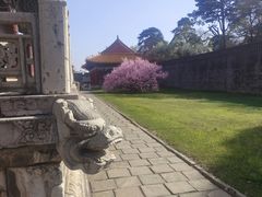 -沈阳市东陵公园