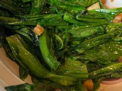 砂锅油麦菜-撒椒·四川江湖菜(大族广场店)