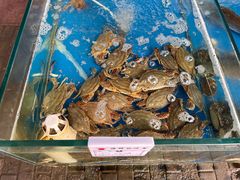 -金渔村海鲜烧烤大排档
