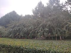 -辛亥革命博物院北区