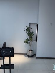 -东尚style造型