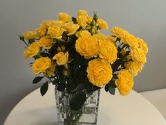 -达美口腔(青年路店)