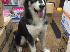 -佳雯宠物医院(四明中路分院)