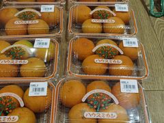 -海鮮寿司とれとれ市場