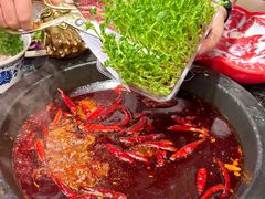 -蜀大侠火锅(春熙路店)