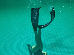 -重庆市奥林匹克体育中心-游泳跳水馆