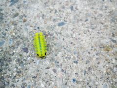 -鬼笑石后山停车场