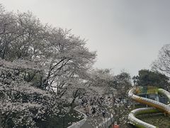 -杭州少年儿童公园
