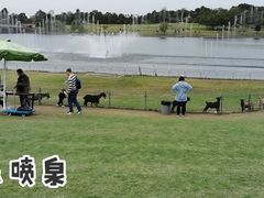 -南京银杏湖乐园