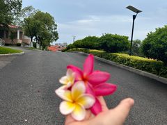 -厦门国家会计学院