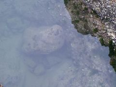 -沙扒湾