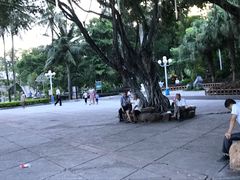 -金砂公园