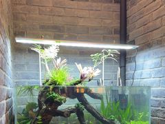 -百味源炭火烤翅 ·夜市大排档(酒仙桥店)