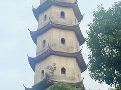 -江心屿景区