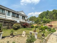 -东方艺术博物馆