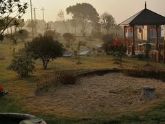 -龙湖东院农庄(乡间小路店)