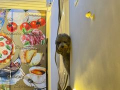 -沏点Trattoria意大利餐厅(新街口店)