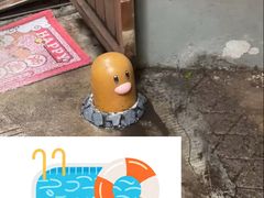 -Apollo·西班牙小酒馆(安福路店)