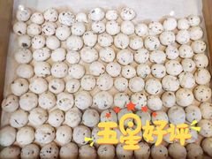 -虎头局·渣打饼行(五一新干线店)