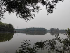 -翠湖国家城市湿地公园