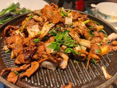 -四季京未(五羊新城店)