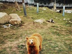 -西安秦岭野生动物园