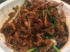 -老头儿油爆虾(星光一期店)