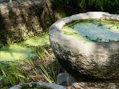 -长兴太湖图影湿地文化园