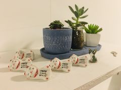 大堂-有猫主题·治愈系猫咖(曾厝垵店)
