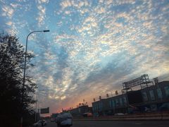 -盛华世家商业广场农贸水产综合批发市场