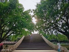 -黄龙溪古镇
