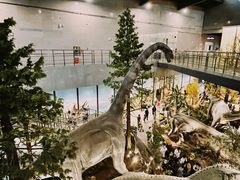 -湖南省地质博物馆