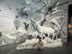 -中国湿地博物馆
