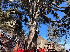 -终南山南五台景区