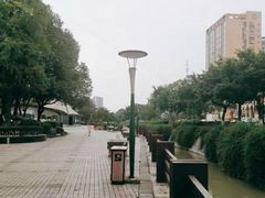 -神仙树公园