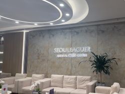 -上海首尔丽格医疗美容医院