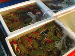 -霞涌市场海鲜摆卖区