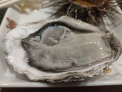 生蚝-苏大嘴海鲜牧场(奥林匹克店)